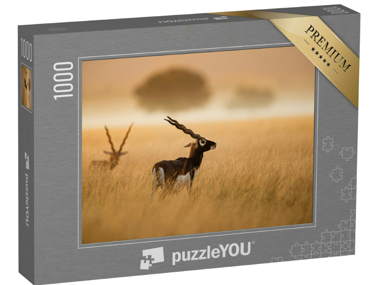 Puzzle de 1000 pièces « Un bouc noir indien de la vallée de Chappar Rajashthan »