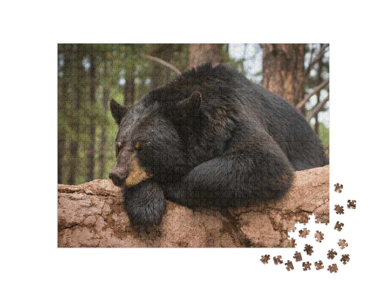 Puzzle de 1000 pièces « Un ours sur un tronc d'arbre »