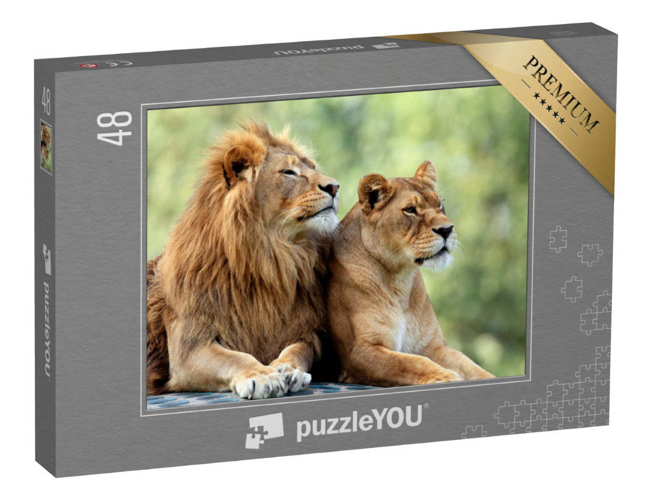 Puzzle de 48 pièces « Lion mâle et lion femelle »