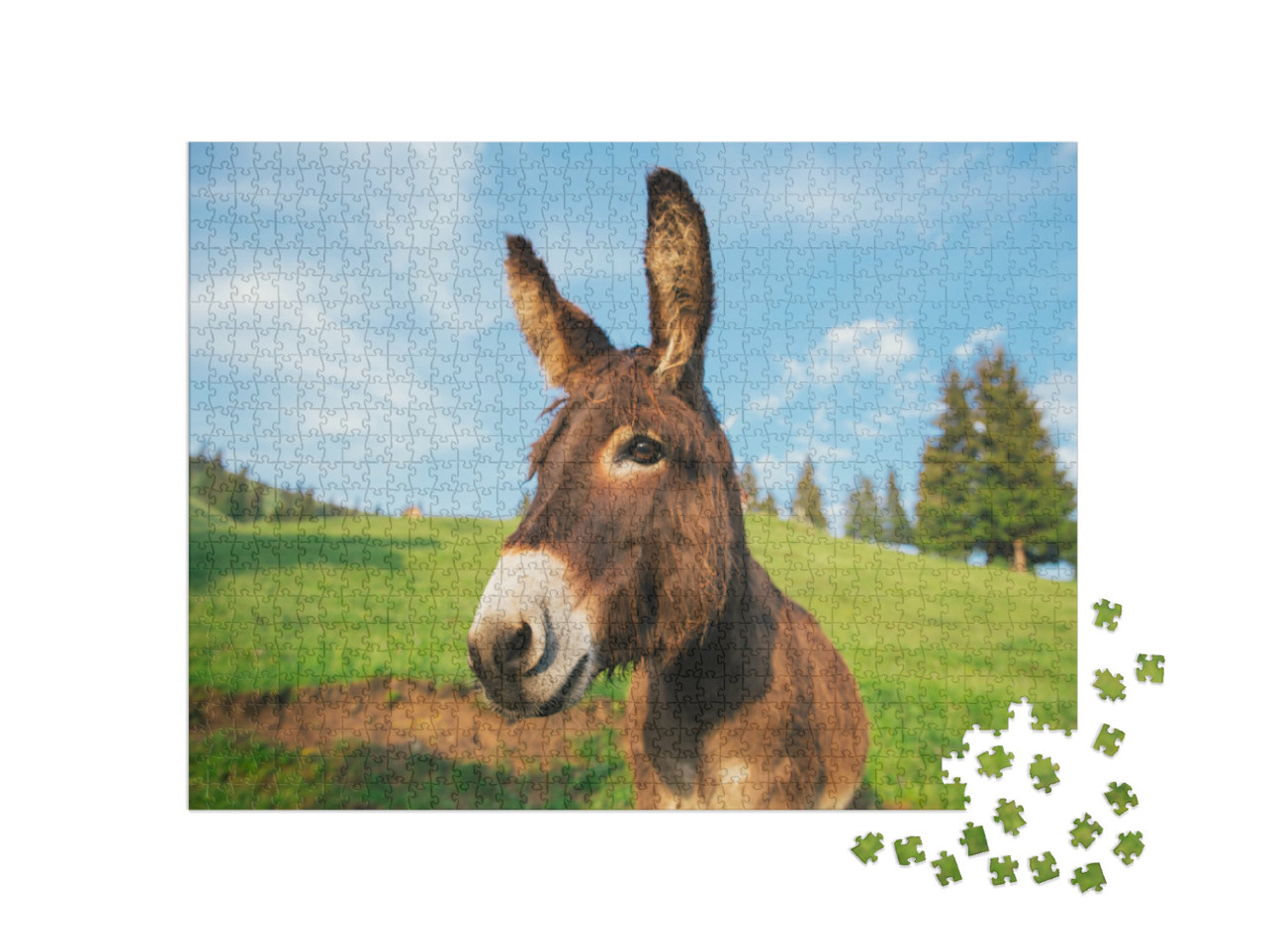 Puzzle de 1000 pièces « Image d'un âne au coucher du soleil en Transylvanie »