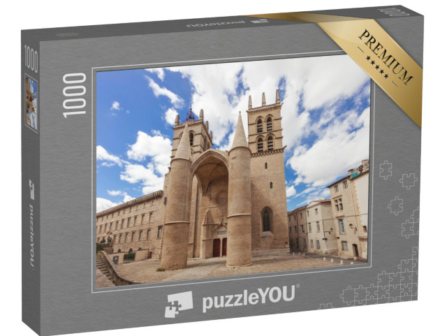 Puzzle de 1000 pièces « Cathédrale Sainte-Pierre à Montpellier, France »