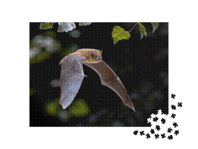 Puzzle de 1000 pièces « Pipistrelle Chauve-souris en vol dans la forêt »