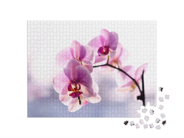 Puzzle de 1000 pièces « Magnifique orchidée délicate en rose »
