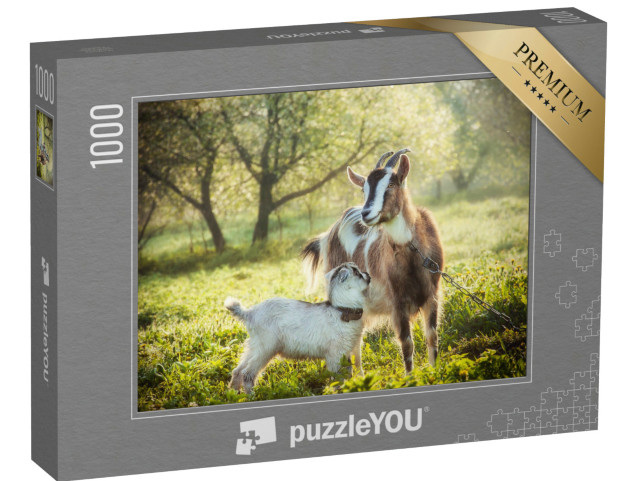 Puzzle de 1000 pièces « Chèvre avec un chevreau »