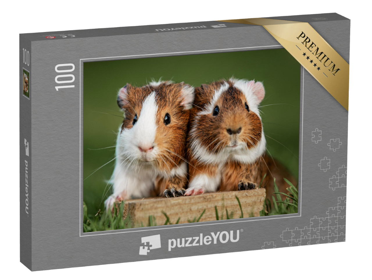 Puzzle de 100 pièces « Deux cochons d'Inde »