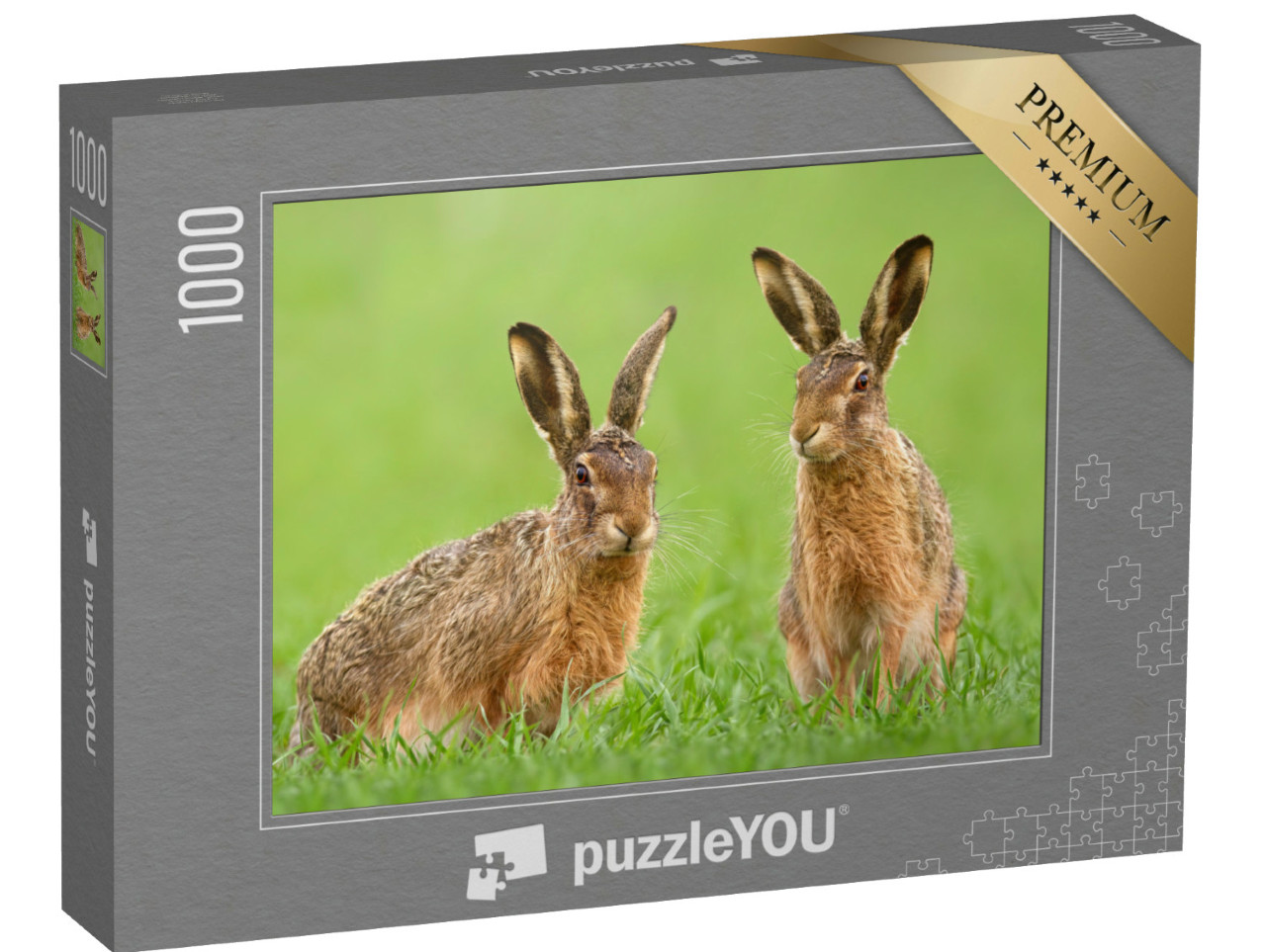 Puzzle de 1000 pièces « Deux lièvres dans une prairie au printemps »