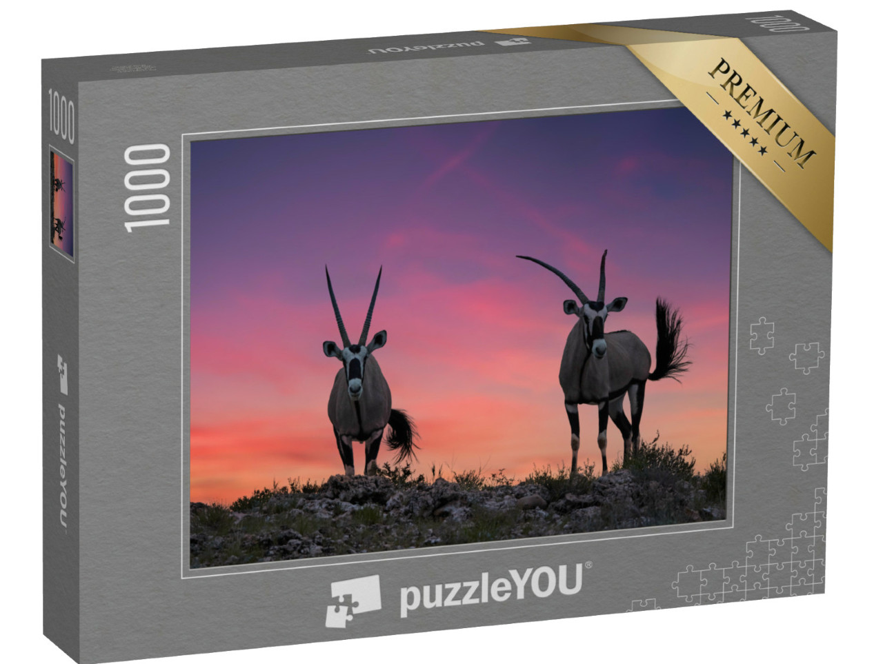 Puzzle de 1000 pièces « Deux grandes antilopes aux cornes spectaculaires, Kalahari »