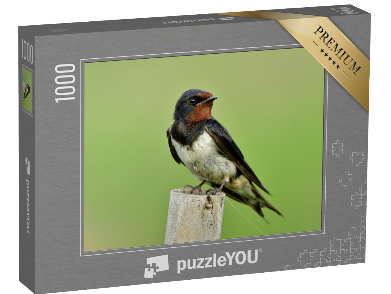 Puzzle de 1000 pièces « Hirondelle rustique, également connue sous le nom de martinet noir »