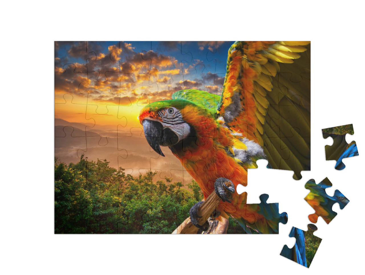 Puzzle de 48 pièces « Splendides couleurs de la nature : Ara au coucher du soleil »