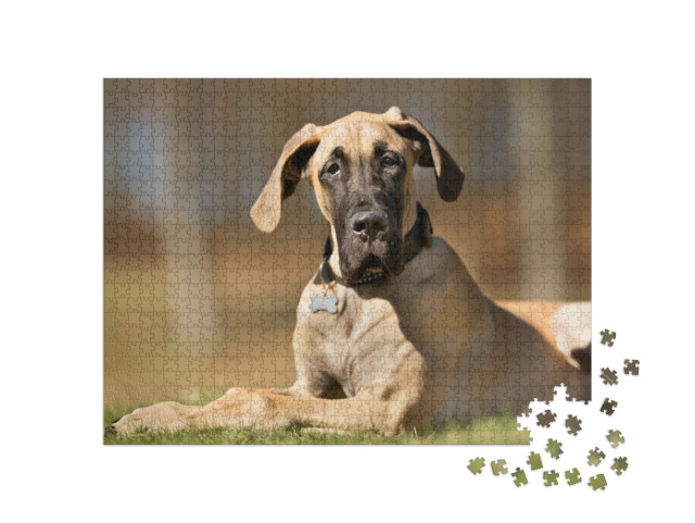 Puzzle de 1000 pièces « Un dogue allemand de pure race sans laisse à l'extérieur dans la nature »