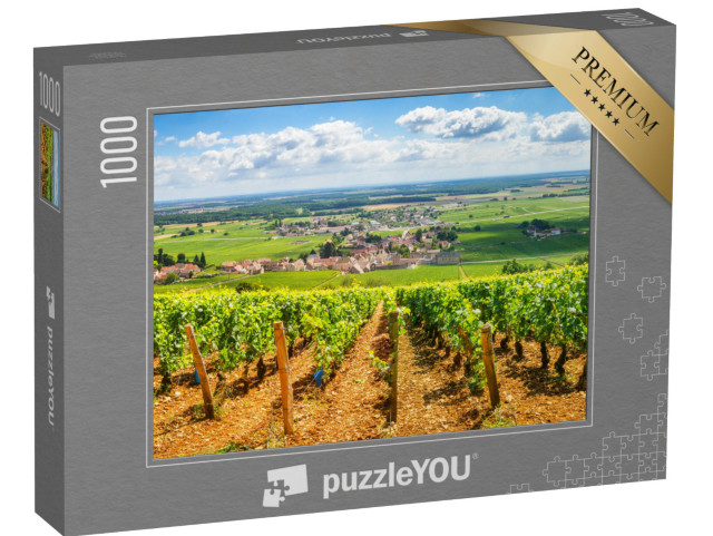 Puzzle de 1000 pièces « Vignobles en Bourgogne, France »