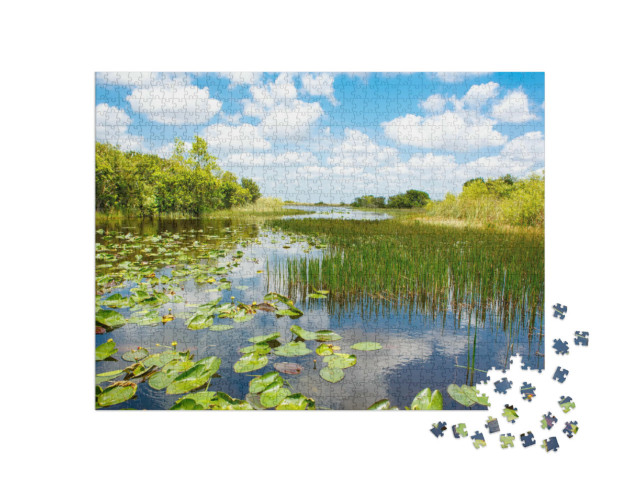 Puzzle de 1000 pièces « Parc national des Everglades en Floride, États-Unis »