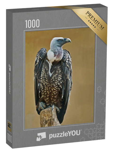 Puzzle de 1000 pièces « Exemplaire de vautour fauve de Rüppell »