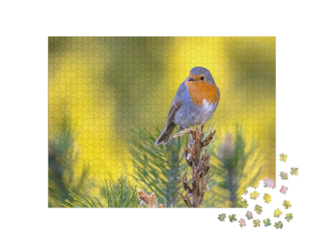 Puzzle de 1000 pièces « Rouge-gorge sur une branche verte »