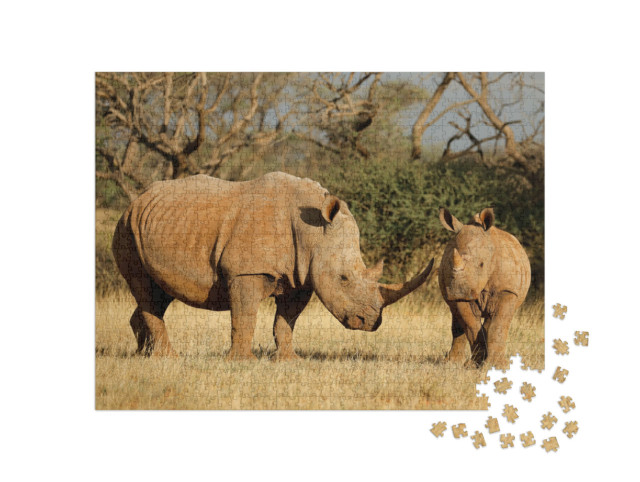 Puzzle de 1000 pièces « Rhinocéros blanc avec son veau en Afrique du Sud »
