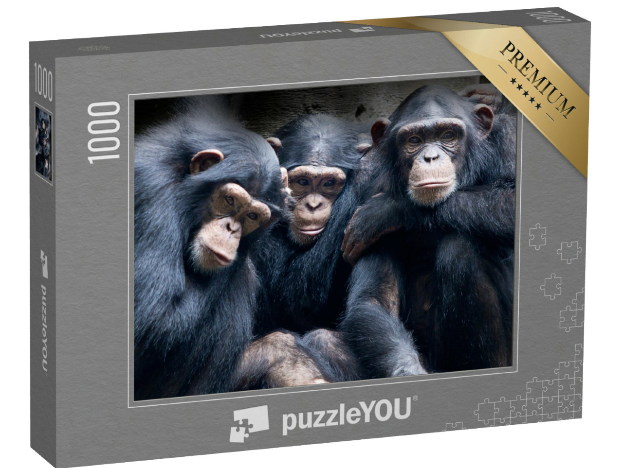 Puzzle de 1000 pièces « Les bonobos et les chimpanzés en Afrique »
