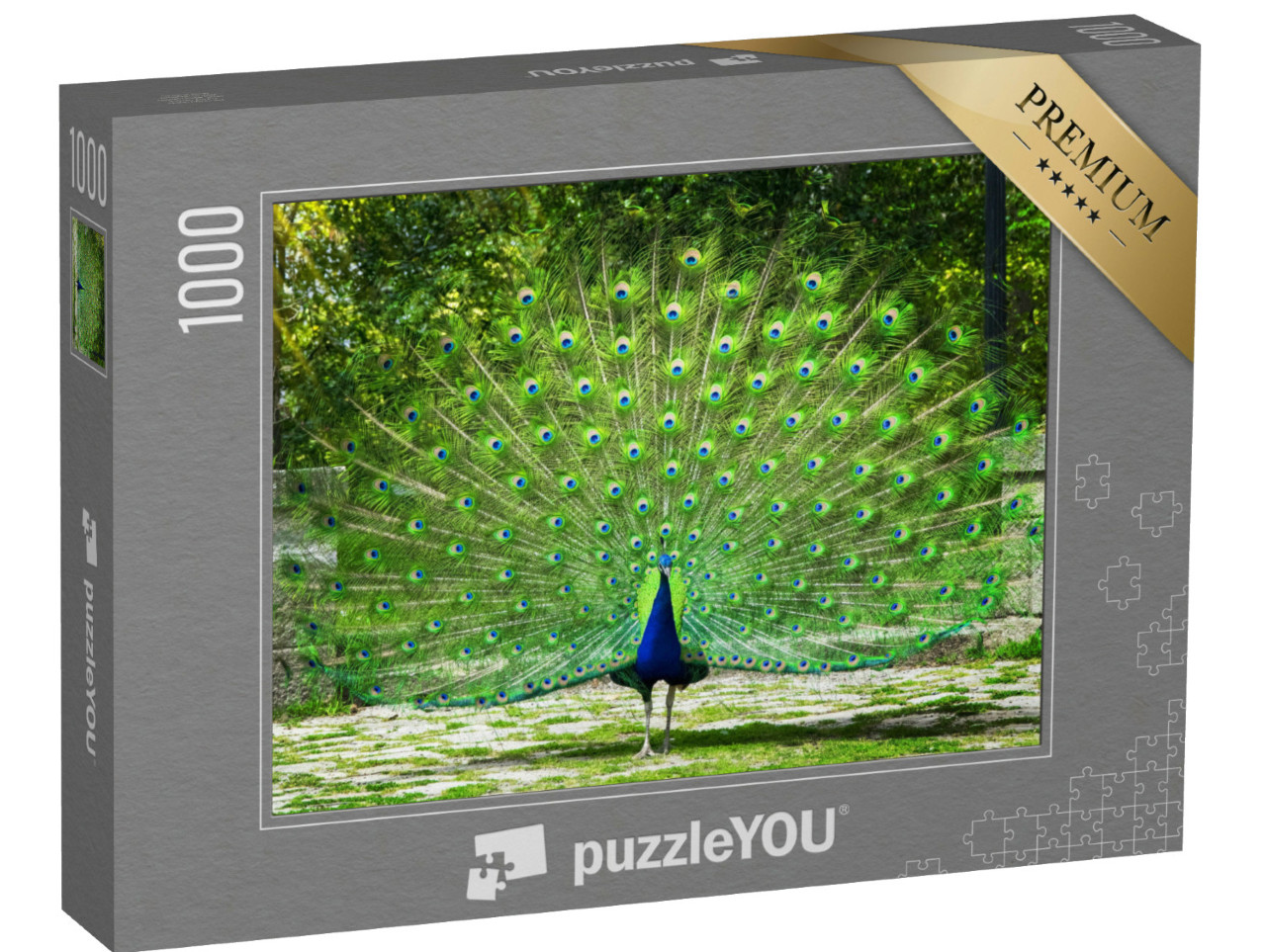 Puzzle de 1000 pièces « Le paon montre sa queue »