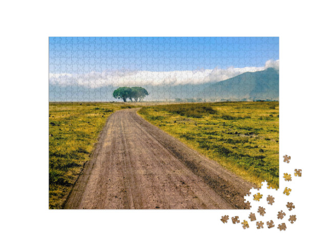 Puzzle de 1000 pièces « Tanzanie, Afrique »