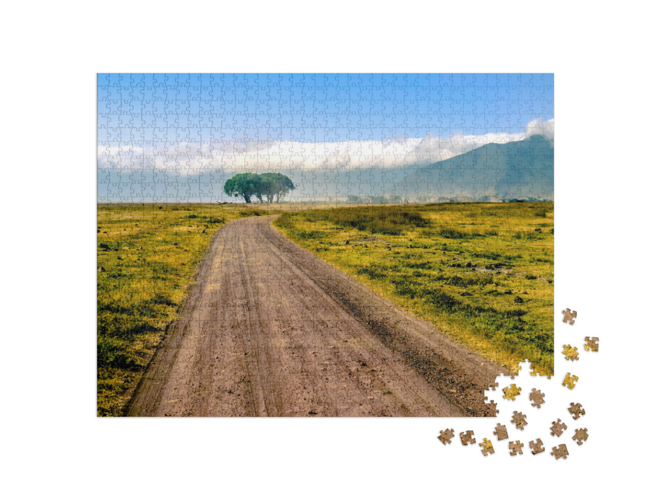 Puzzle de 1000 pièces « Tanzanie, Afrique »