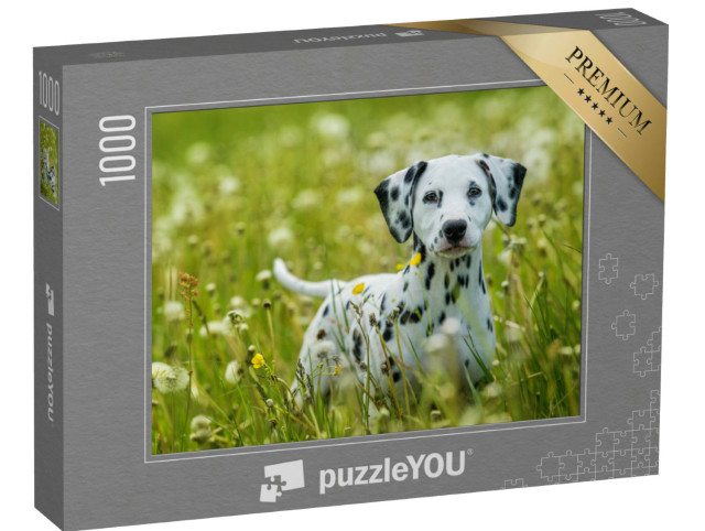 Puzzle de 1000 pièces « Chiot dalmatien dans un pré de pissenlits »