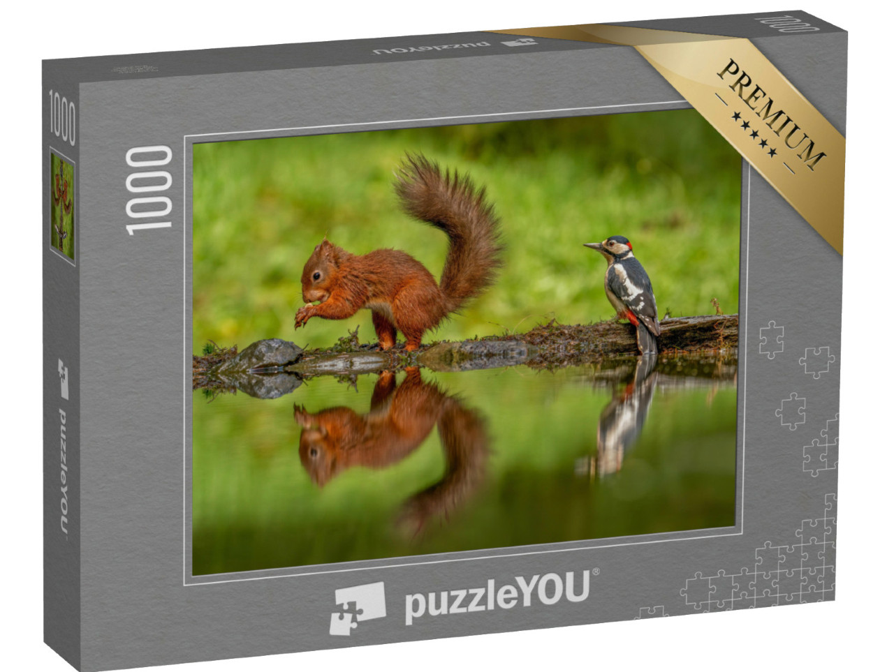 Puzzle de 1000 pièces « Écureuil rouge et un pic épeiche »