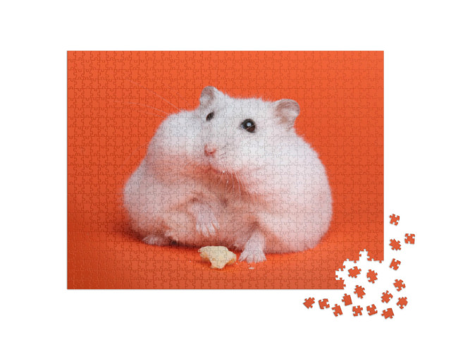 Puzzle de 1000 pièces « Hamster blanc duveteux »
