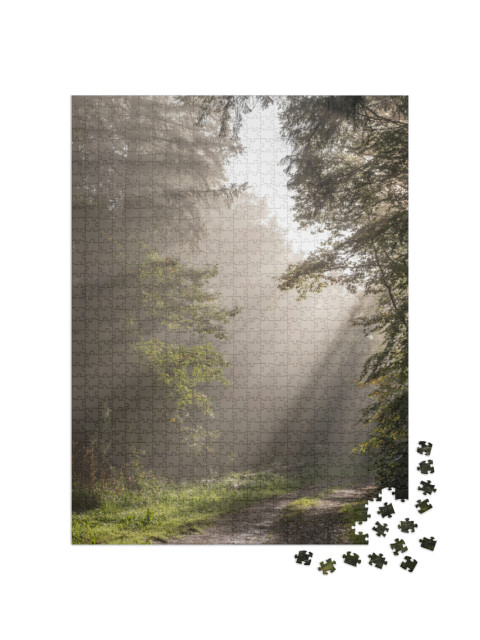 Puzzle de 1000 pièces « Rayons de soleil à travers le brouillard dans une forêt de montagne en automne. Vosges, Alsace, France. »