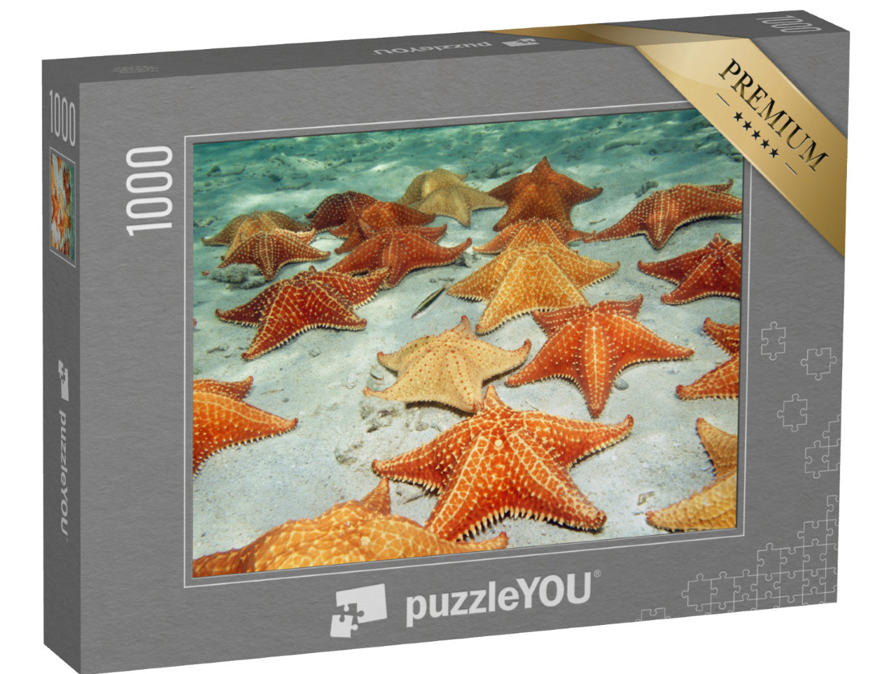 Puzzle de 1000 pièces « Des étoiles de mer sur le fond sableux de la mer »