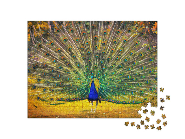 Puzzle de 1000 pièces « Le paon bleu montre son plumage »
