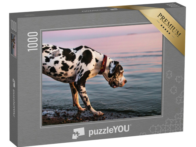 Puzzle de 1000 pièces « Dogue allemand en promenade le soir »