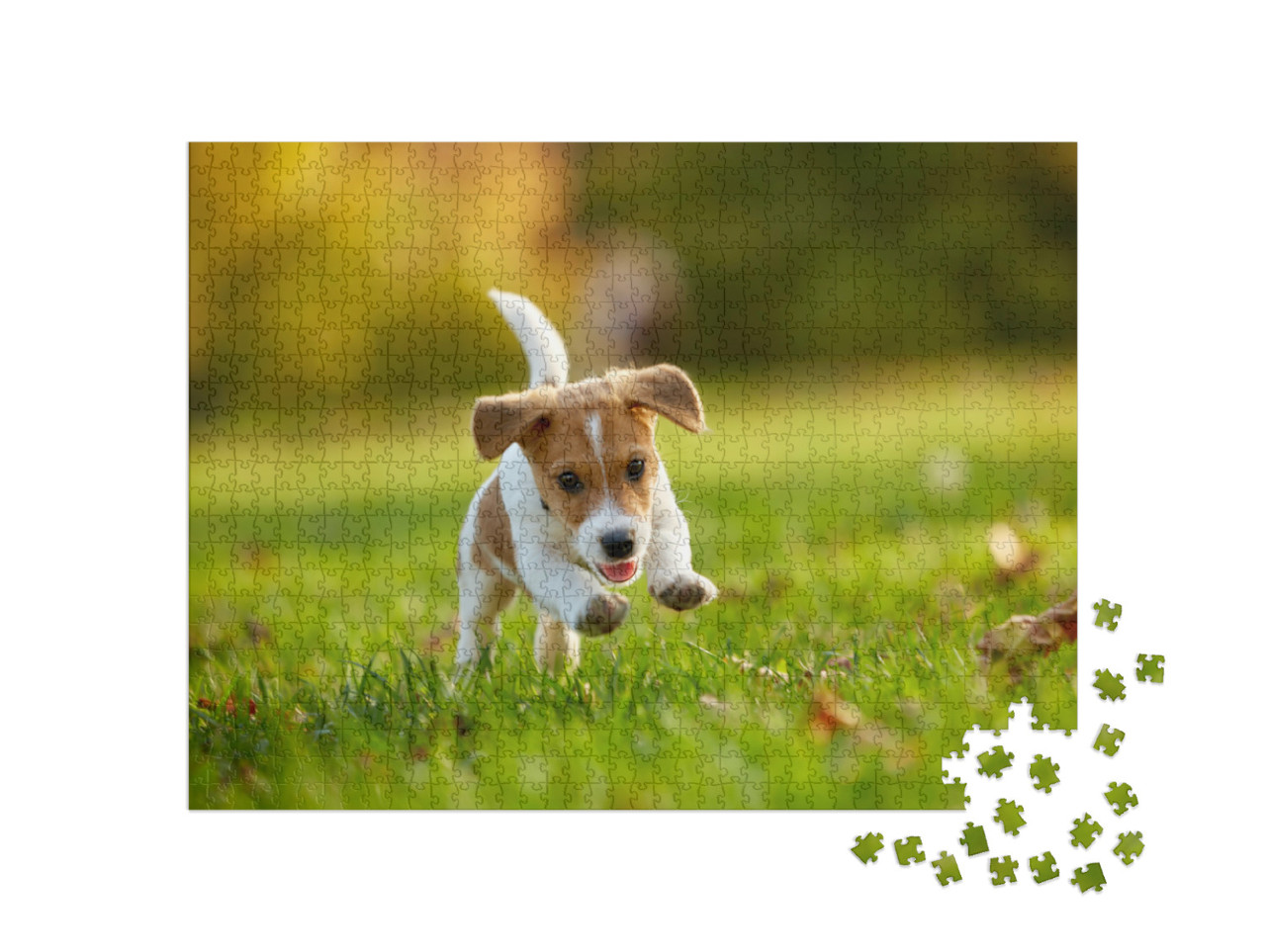 Puzzle de 1000 pièces « Jack Russell Terrier jouant dans un parc en automne »