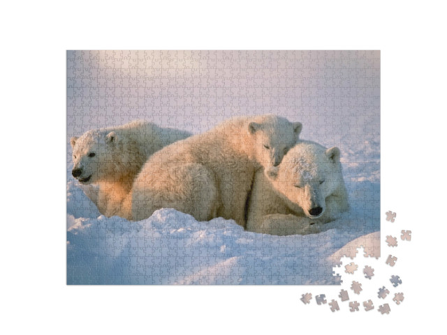 Puzzle de 1000 pièces « Ourse polaire avec ses petits »