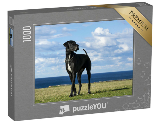 Puzzle de 1000 pièces « Dogue allemand à la mer »