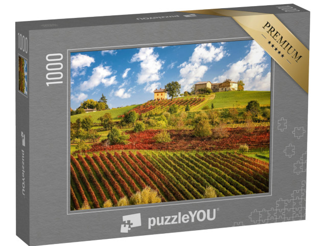 Puzzle de 1000 pièces « Vignobles de Lambrusco près de Castelvetro, Émilie-Romagne, Italie »