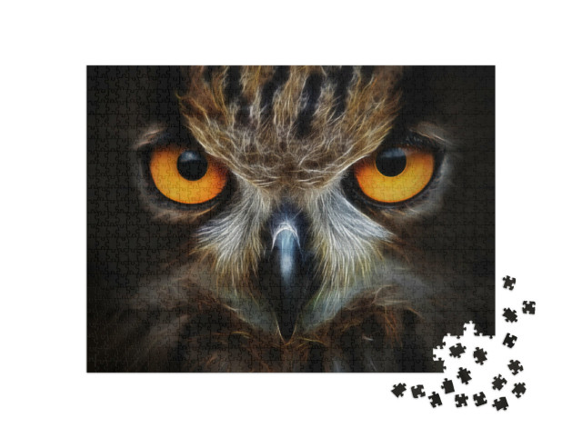Puzzle de 1000 pièces « Portrait d'une chouette »
