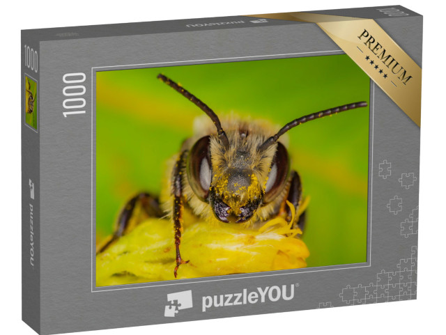 Puzzle de 1000 pièces « Une abeille sauvage récolte du pollen, Québec, Canada »