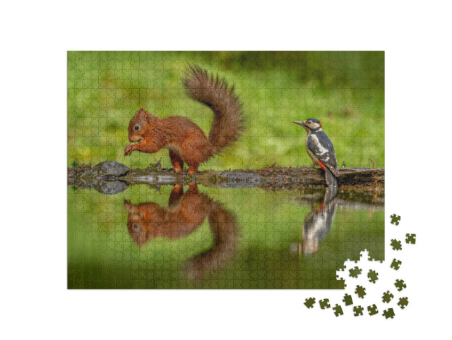 Puzzle de 1000 pièces « Écureuil rouge et un pic épeiche »