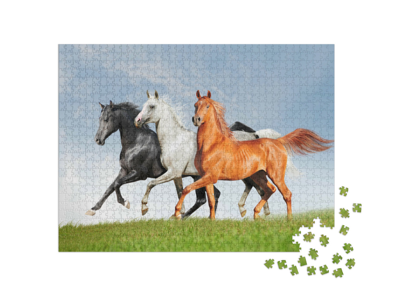 Puzzle de 1000 pièces « Trois chevaux arabes »