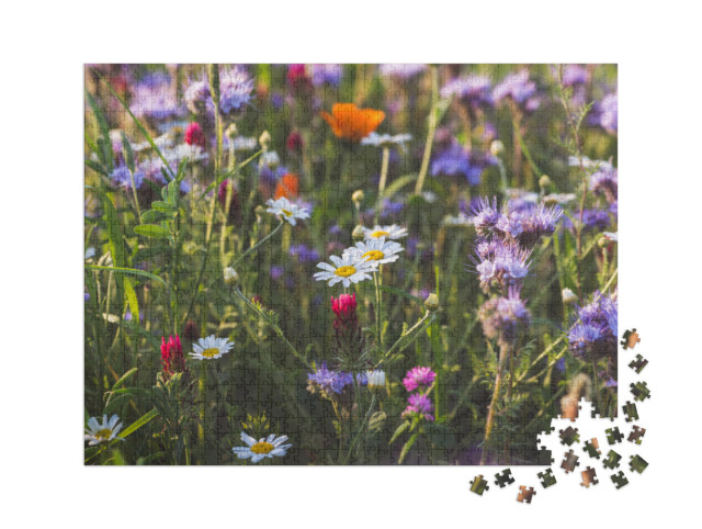 Puzzle 1000 pièces XXL « Prairie d'herbes aromatiques à floraison multicolore avec phacélie et soucis à fleurs violettes »