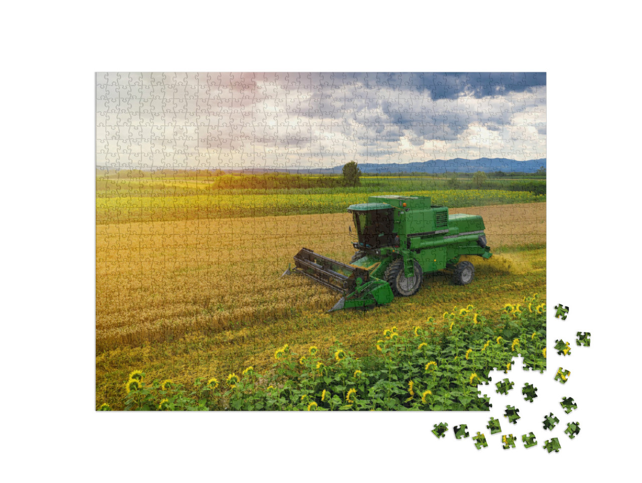 Puzzle de 1000 pièces « Moissonneuse-batteuse au travail dans un champ de blé »