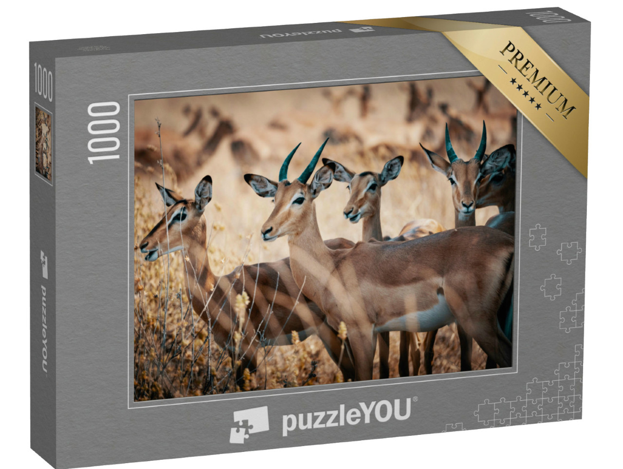 Puzzle de 1000 pièces « Un groupe d'antilopes impala dans le parc national de Chobe, Botswana »