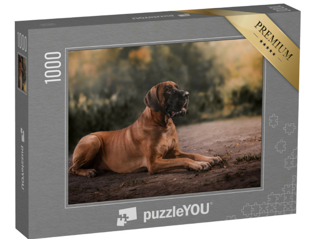 Puzzle de 1000 pièces « Le dogue allemand »