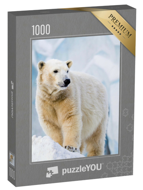 Puzzle de 1000 pièces « Jeune ours polaire debout sur un bloc de glace »