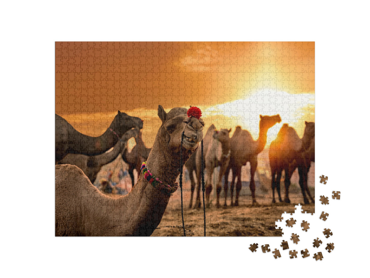 Puzzle de 1000 pièces « Foire aux chameaux de Pushkar dans la ville de Pushkar, Inde »