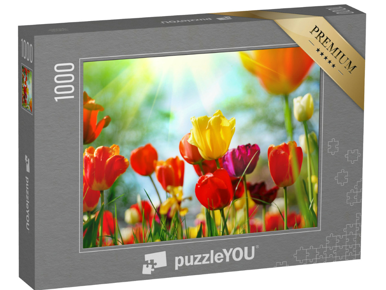 Puzzle de 1000 pièces « Prairie de tulipes sous le soleil de printemps »