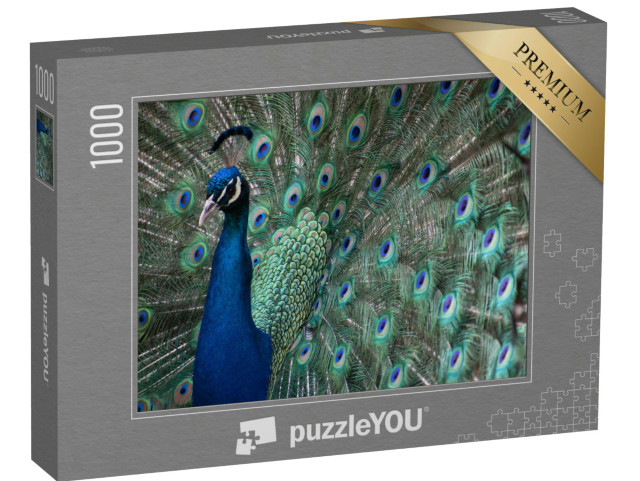 Puzzle de 1000 pièces « Un paon aux plumes déployées »