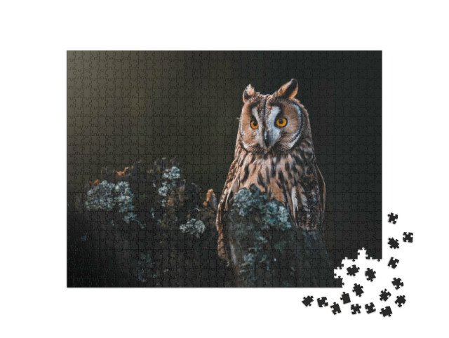 Puzzle de 1000 pièces « Hibou moyen-duc Asio otus, perché sur un arbre sec »