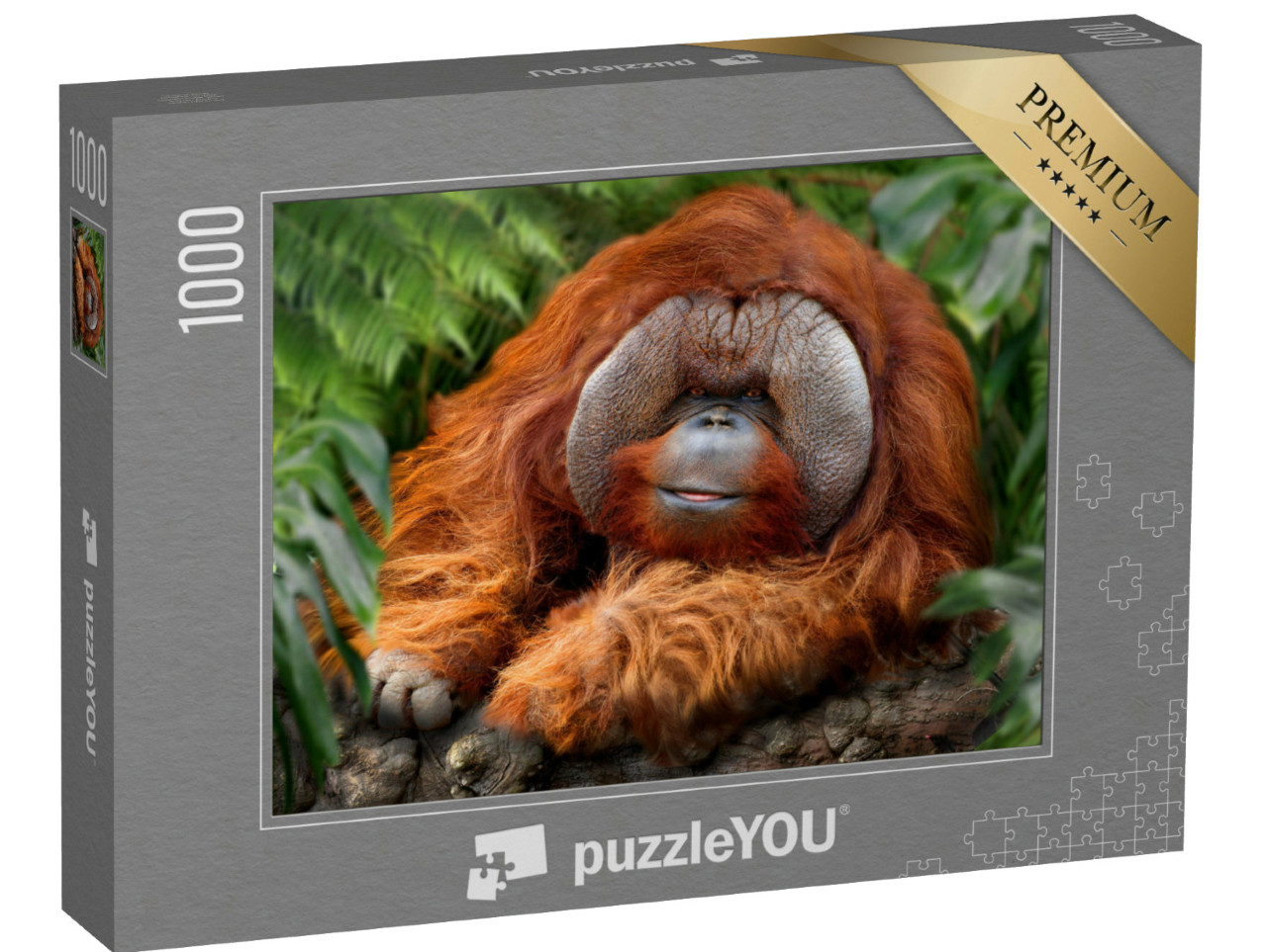 Puzzle de 1000 pièces « Forêt tropicale humide avec orangs-outans »