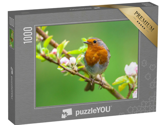 Puzzle de 1000 pièces « Un rouge-gorge parmi des fleurs de fruits blanches »