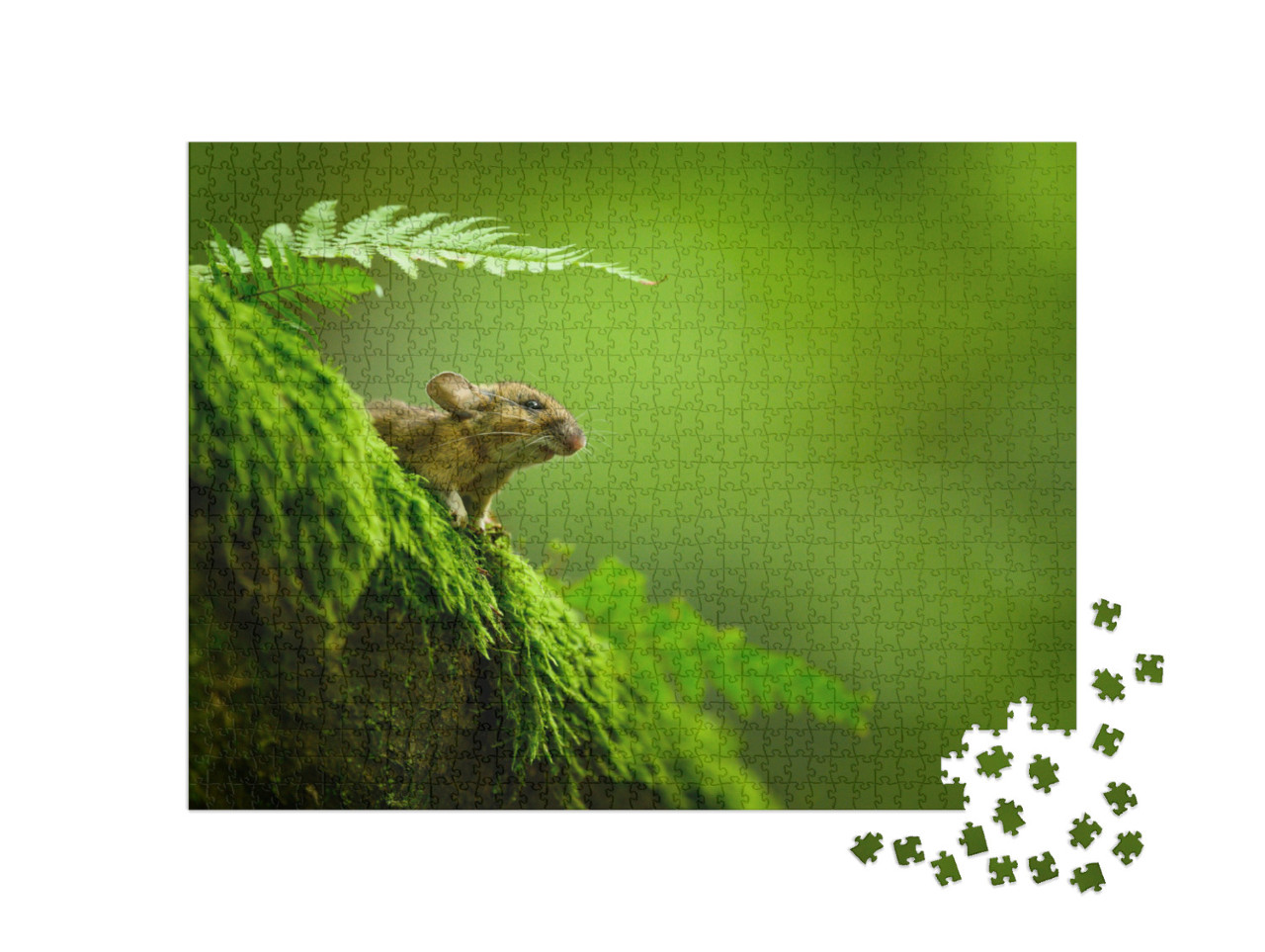 Puzzle de 1000 pièces « Une souris domestique curieuse sur un tronc d'arbre moussu »